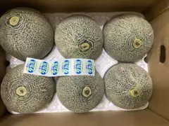673.数量限定 青肉メロン6玉入り箱込み5.5Kg*2前後満杯品種玉数お任せ 