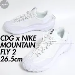26.5 コムデギャルソン オム プリュス ナイキ ACG マウンテン フライ