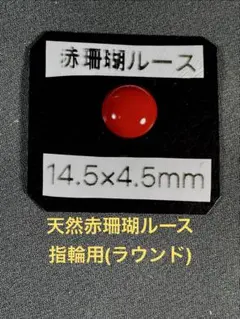 赤珊瑚/ルース/パーツ/サンゴ/さんご/素材/ハンドメイド Ｌー012