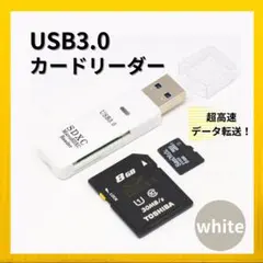 Item thumbnail for item b6778ba7-bc4f-4c3a-8e22-3b3333d32c34