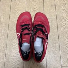 ドラゴンフライ26.5のサムネイル