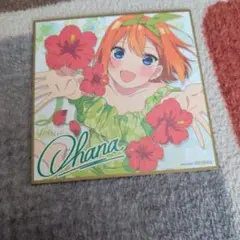 映画五等分の花嫁入場者特典四葉