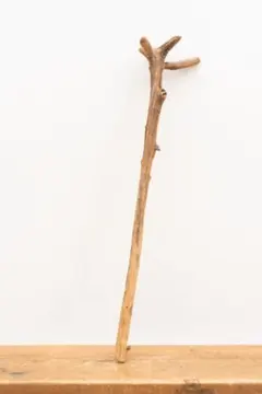 Item thumbnail for item d290a1ee-9e24-4dd1-9274-b1a6508feb8e