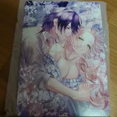 ぴぴ様専用 悪役令嬢と鬼畜騎士 SS付きビジュアルボード