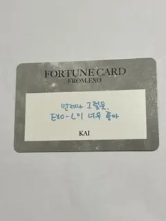 EXO カイ 2023 ファンミ FORTUNE CARD トレカ