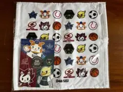 【新品未開封】DeNA スポーツグループ タオル