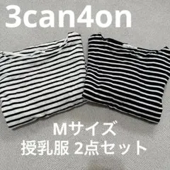 Item thumbnail for item c0c29936-6de4-4eb8-85e8-9d99aeb658a8