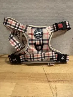 Item thumbnail for item 198c9998-4e35-42f3-9100-ba3db367a80b