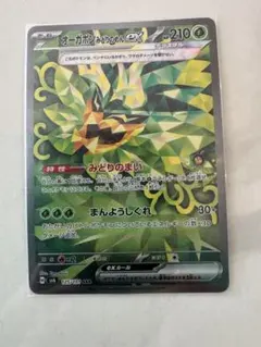 オーガポン みどりのめんEX 210 HP