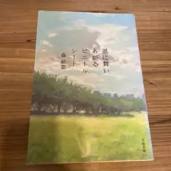 風に舞いあがるビニールシート