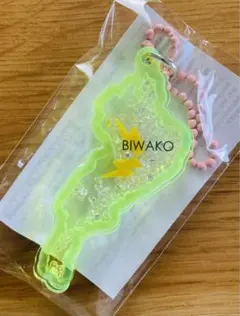 琵琶湖キーホルダー イナズマ