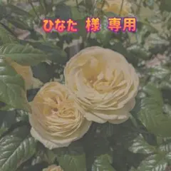 ひなた♡♡様 リクエスト 2点 まとめ商品