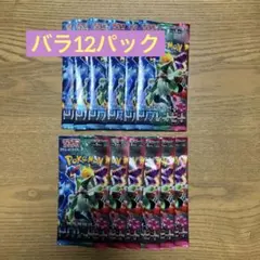 トリプレットビート　バラ　12パック　即日発送可能