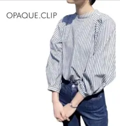 オペークドットクリップ ボリュームスリーブブラウス