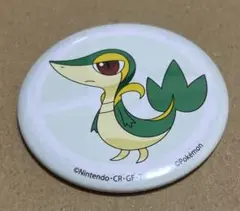 ポケットモンスター　缶バッジ　コレクション