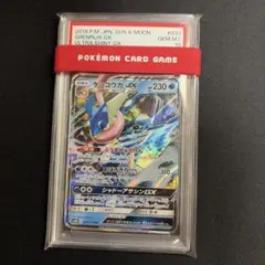 PSA10】ゲッコウガ P XY-P 209 ファミリーマートキャンペーン - メルカリ