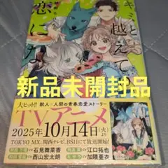 キミと越えて恋になる 10