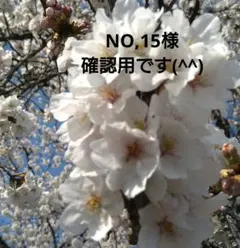 NO,15様専用です。ドライフラワーのブーケセット 10個