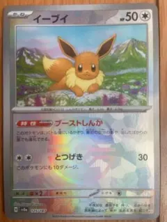 イーブイ スカーレット&バイオレット ハイクラスパック テラスタルフェスex …のサムネイル