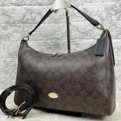 【極美品】 コーチ ホーボー ショルダー ハンドバッグ 2way シグネチャー