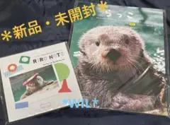 T*F様 ラッコ 本 まとめ売り - メルカリ