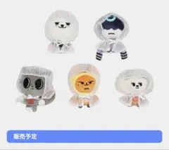 未開封 TXT プルバトゥ ケープ