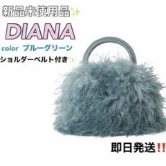 未使用品✨　DAIANA ブルーグレー　ファー ショルダーバッグ　二次会のサムネイル