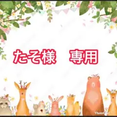 たそ様専用　おまとめ②