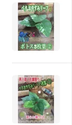 HAL様 リクエスト 2点 まとめ商品