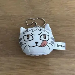 ハイキュー　動物マスコット ミニビーズクッション 夜久衛輔