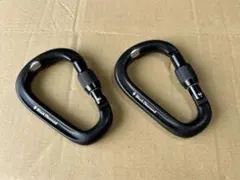 Black Diamond スクリューゲートカラビナ 2個セット