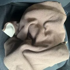 ブラウン ブランケット　スガ
