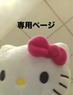 専用ページ