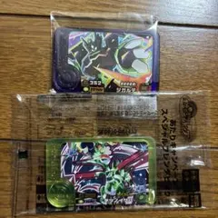 ポケモンフレンダ　ジガルデ他