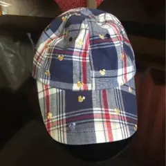ディズニーランドで購入した帽子