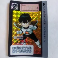 ドラゴンボールZ カードダス 217 孫悟飯