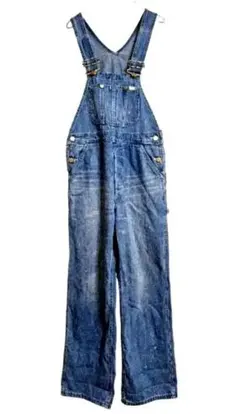 Lee　リペイント　デニム　オーバーオール　ヴィンテージ