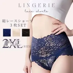 新品　まとめ売り　ハイウエストショーツ　レース　下着　3枚セット　深履き　2XL