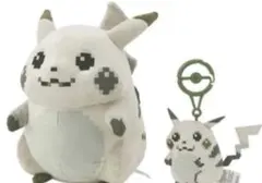 ポケモン はじまりのピカチュウ 2点セット
