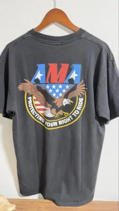 90’sヴィンテージONEITA POWER-T AMA Tシャツ XL USA