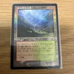 MTG 樹木茂る山麓/Wooded Foothills 4枚セット - メルカリ