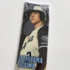 ヤクルトスワローズ#3内山壮真2026 CREW 選手ビジュアルパネル - メルカリ