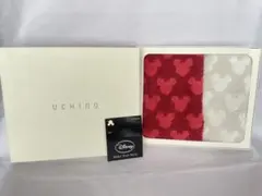【UCHINO】Disney（ディズニー）タオルギフトセット