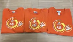 Item thumbnail for item 1a273d75-8a07-4d67-919a-cd55c86f96d0