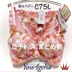 D75L トリンプ プレミアム 寄せアゲハ 花と油絵 ブラ＆ショーツ M019