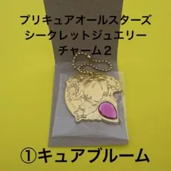 プリキュアオールスターズ シークレットジュエリーチャーム２ キュアブルーム