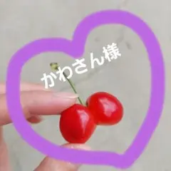 かわさん様専用