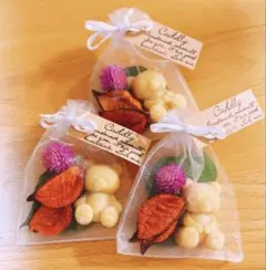 ティラミスの香り♡くま子の優しい夢