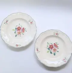 Gien Volupte 花柄横長 23cm 2枚セット - メルカリ