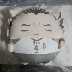 よ*し様 ハイキュー!!　ぬいくじ　くじメイト　木兎光太郎　C賞